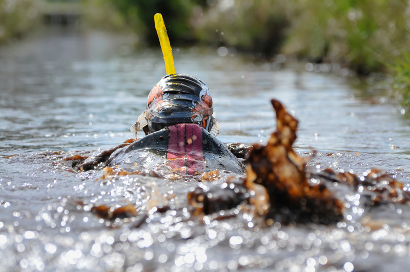When You Are in Wales, You Must go Bog Snorkelling | Shutterstock Photo by Stephen Barnes