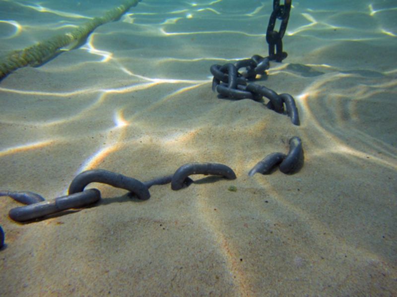 Underwater Chain Escape | MakroBetz/Shutterstock