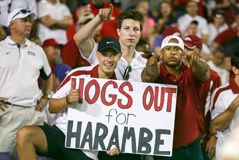 The University of Arkansas | Getty Images Photo by Andrew Dieb/Icon Sportswire
