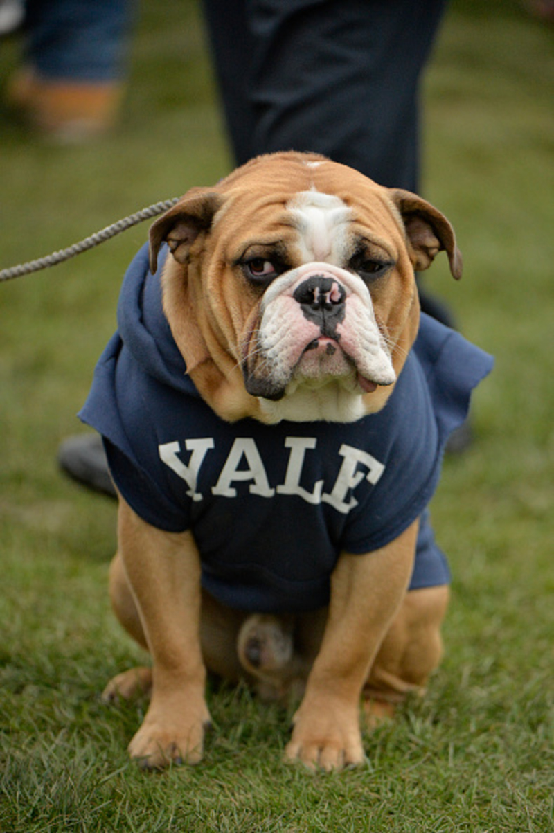 Yale University | Getty Images Photo by Williams Paul/Icon Sportswire 