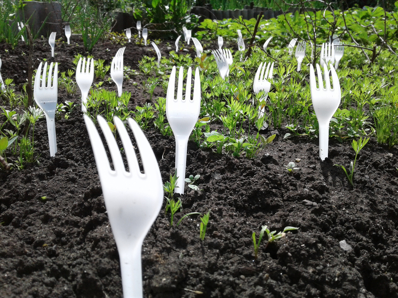 Keeps the Critters Away With Plastic Forks | Shutterstock
