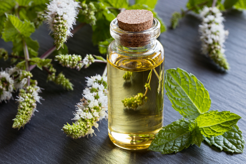 Clean With Essential Oils | Shutterstock