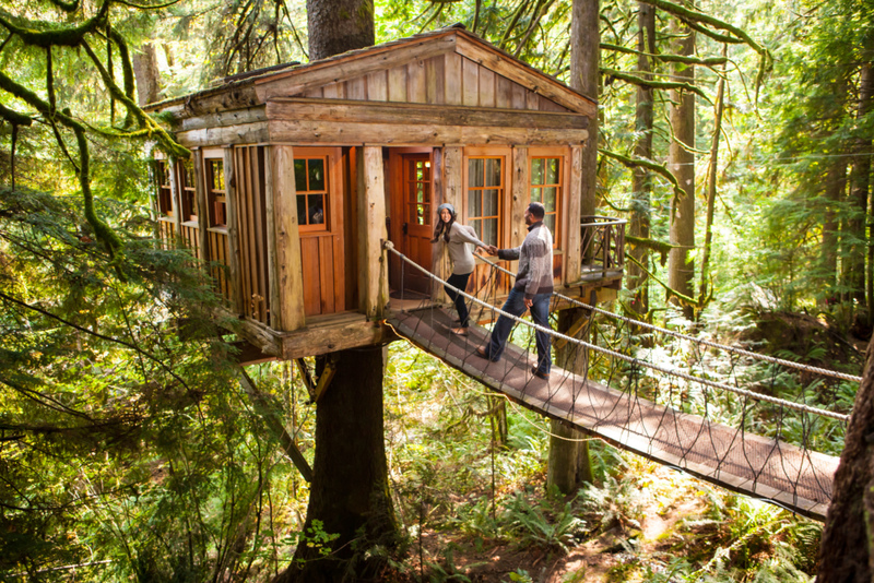 Baumhaus für Erwachsene | Alamy Stock Photo