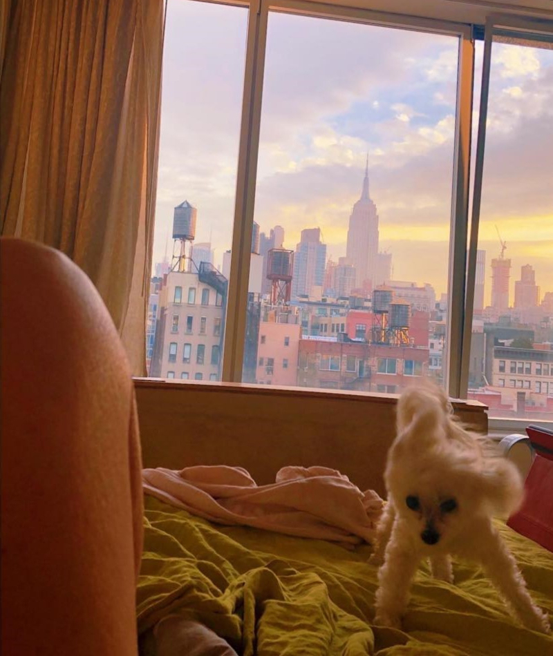 Inside Susan Sarandon's NYC Home | Instagram/@susansarandon