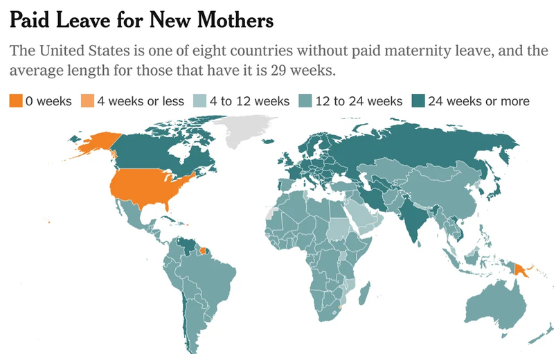 Paid Maternity Leave – For Americans? No Chance | Reddit.com/No_Negotiation_7176