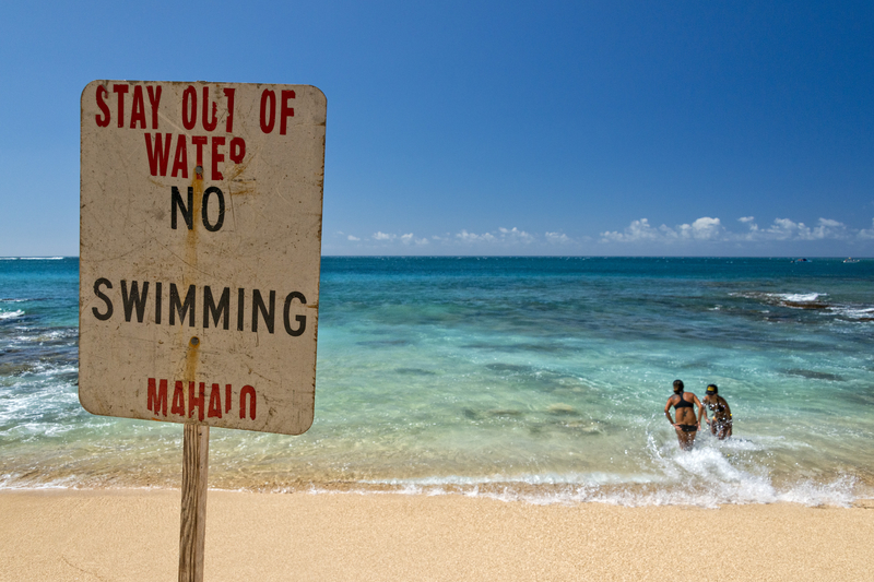 Playa Kauapea, Hawai | Andrea Izzotti/Shutterstock
