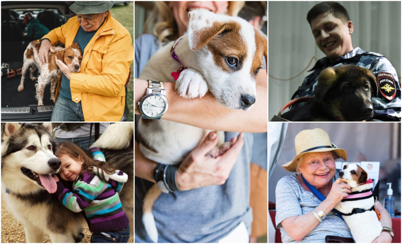 Weitere der bezauberndsten geretteten Hunde, die mit ihren neuen Familien nach Hause gehen | Getty Images Photo by freemixer & YURI KADOBNOV/AFP & Rick Kern/WireImage & Imgur.com/fGswsKG & C2Fwogq