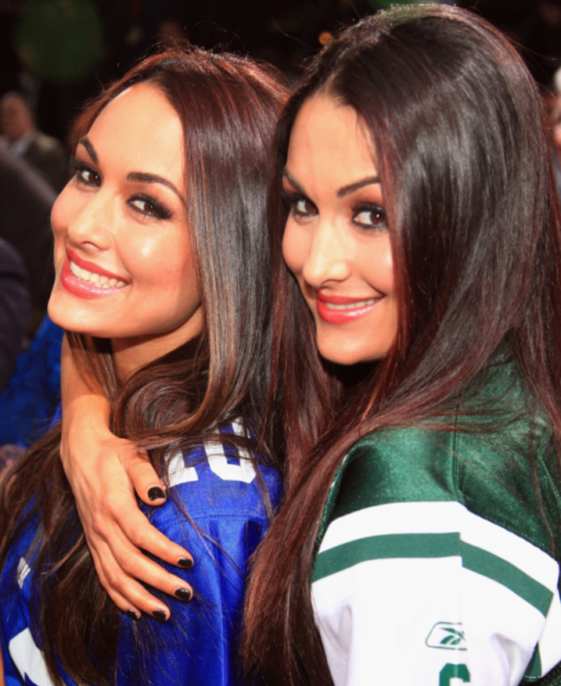  Brie and Nikki Bella | Getty Images Photo by John W. Ferguson/WireImage