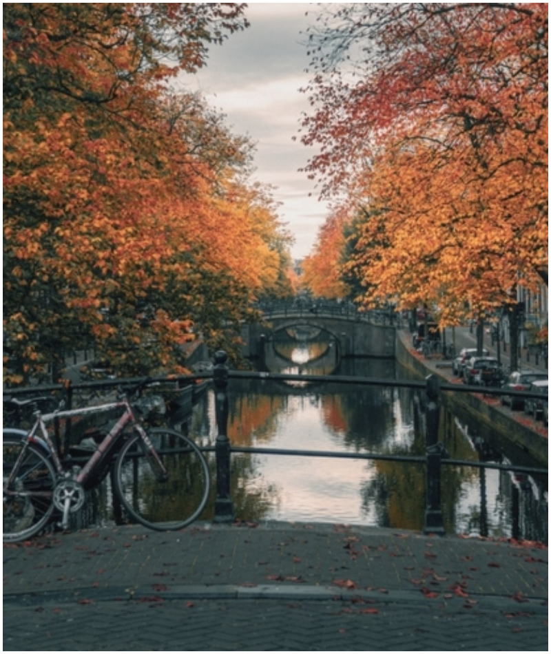 Ámsterdam es uno de los mejores lugares del mundo para ver el otoño | Shutterstock Photo by Julia700702