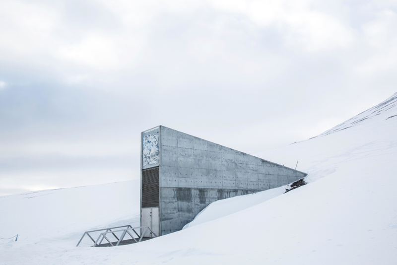 Bóveda de semillas de Svalbard | Alamy Stock Photo by Cultura RM/Tim E White