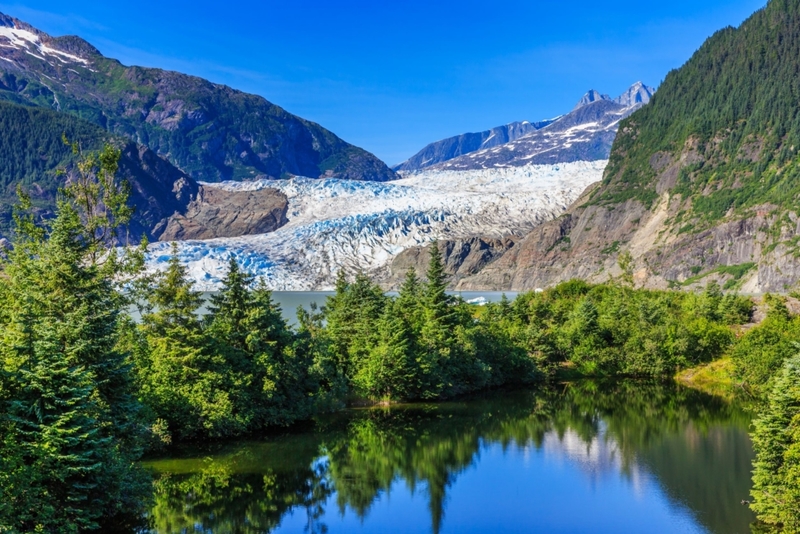 Ein subglazialer Wald | Shutterstock