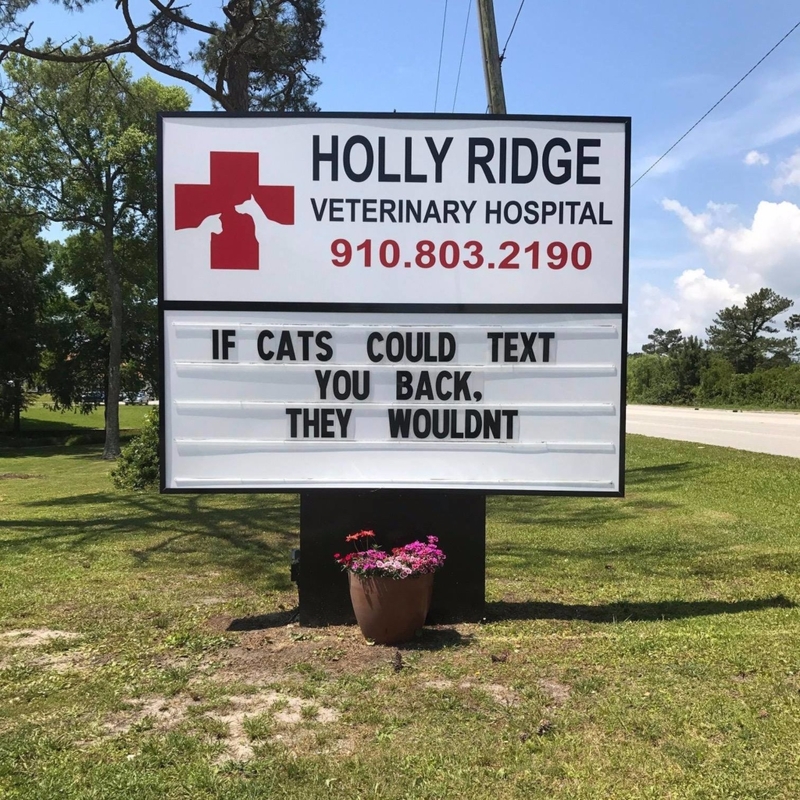 They Totally Wouldn’t | Facebook/@HollyRidgeVet