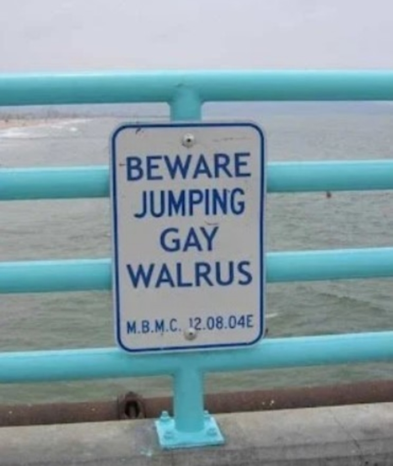 Jumping Gay Walrus | Reddit.com/Afrotators