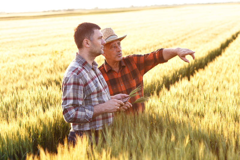 Farmers, Ranchers, and Agricultural Managers | Zoran Zeremski/Shutterstock