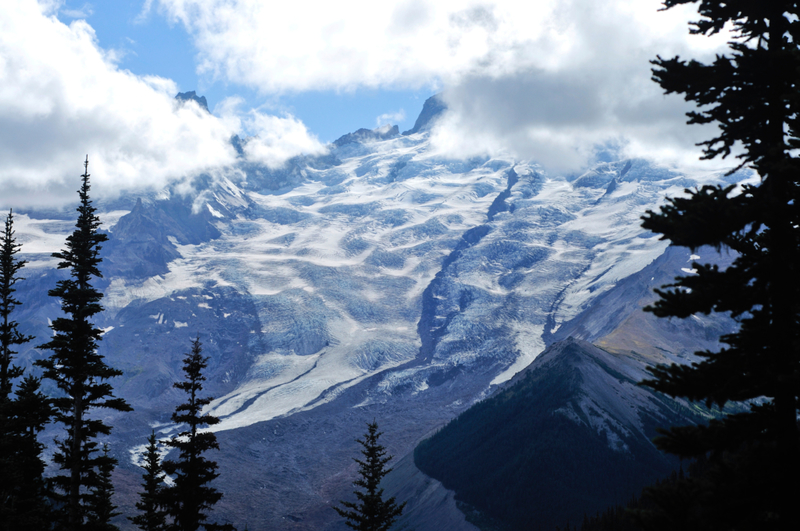 Mount Rainier National Park, Washington | Alamy Stock Photo