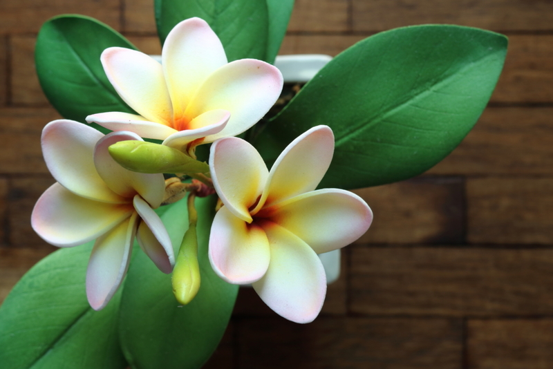 Artificial Flowers | tsingha25/Shutterstock