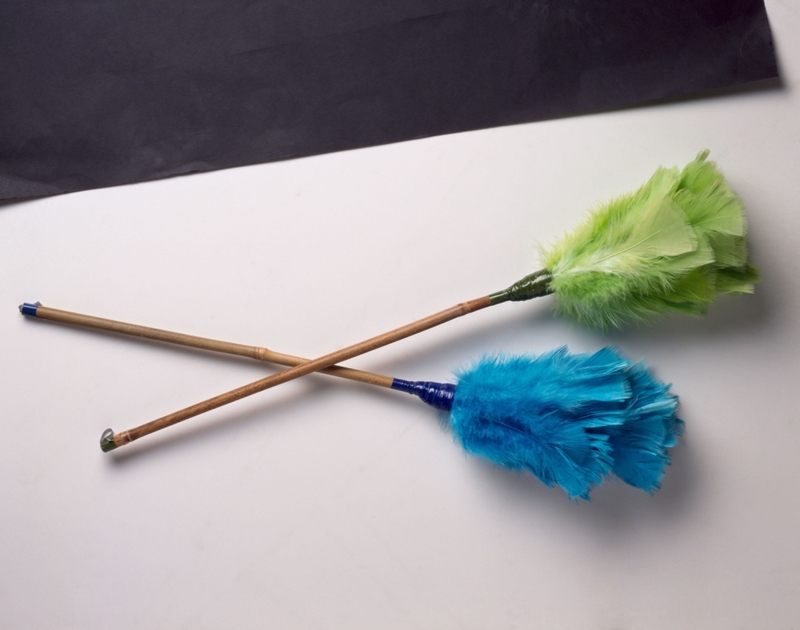 Feather Duster | Alamy Stock Photo by Elizabeth Whiting & Associates