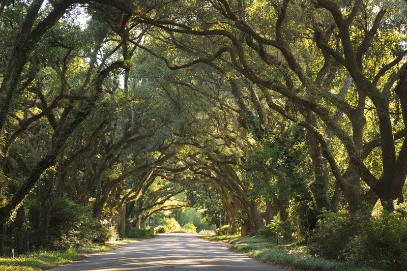 Alabama: Magnolia Springs | Getty Images Photo by Jon Lovette